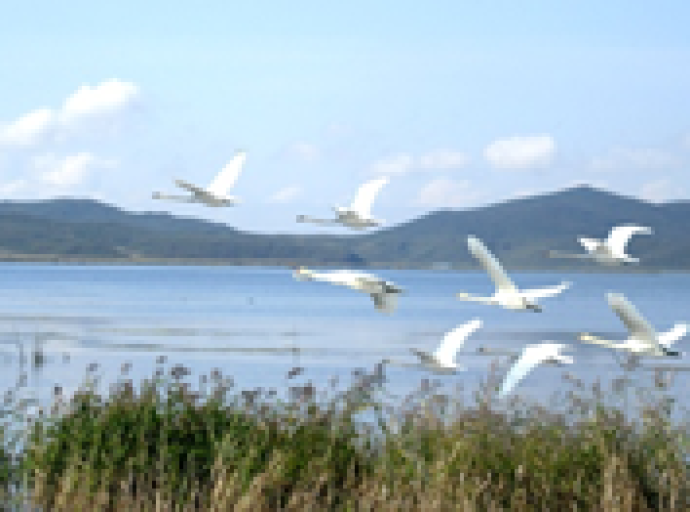 La RPDC est le nid d’oiseaux migrateurs