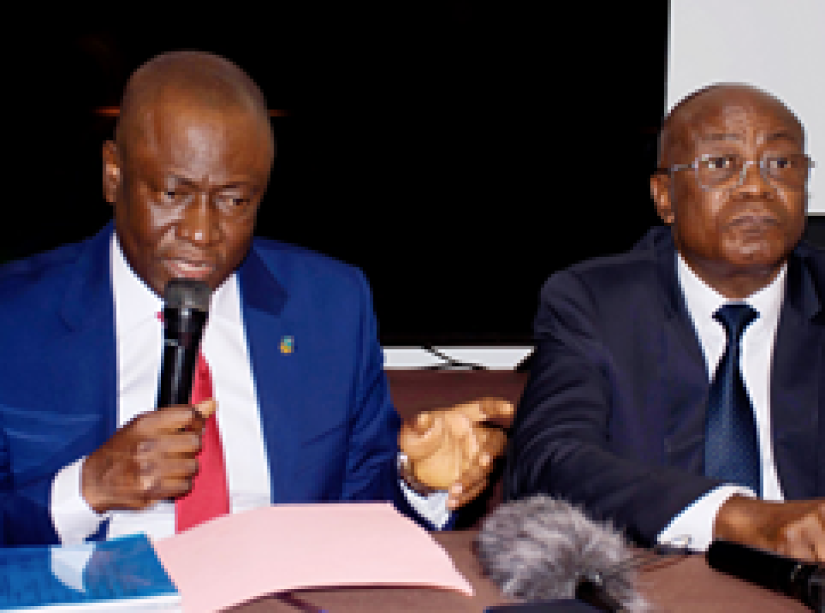 Nouvelle configuration, nouveaux dirigeants derrière Félix Tshisekedi, FPAU : Elysé Bokumwana Maposo aux commandes !