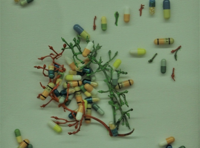 Des œuvres d’art ‘‘médicamenteuses’’, pour guérir la planète