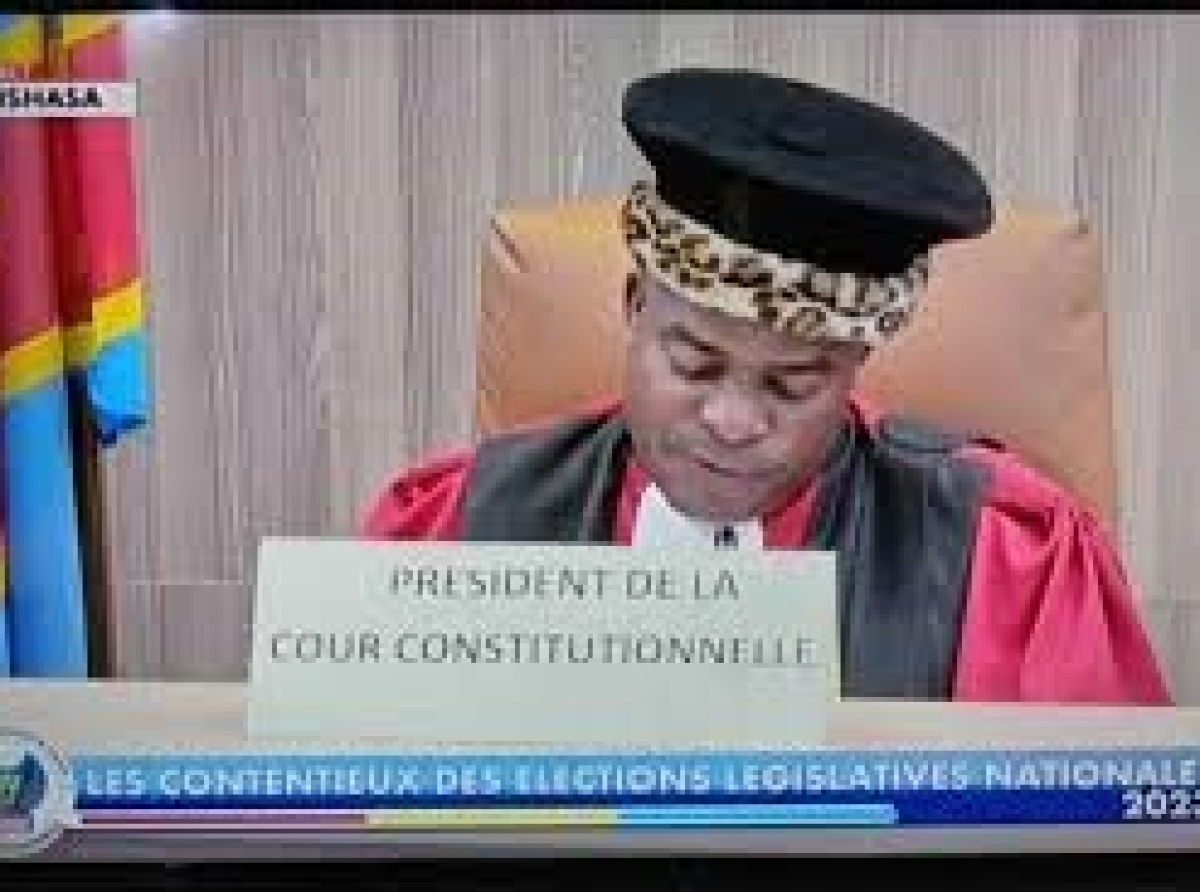 Du recours en rectification d’erreur matérielle devant la Cour constitutionnelle : quelle incidence sur le dispositif ?