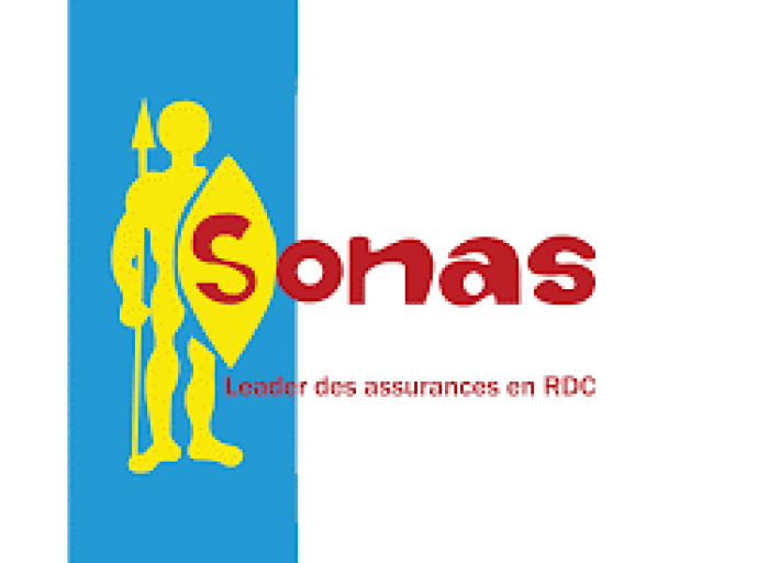 Obtention gratuite des cartes roses, RDC : la Sonas SA passe à la vitesse supérieure !