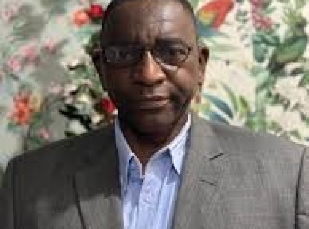 Quelle solution pour le Congo : Réforme ou Révolution ?