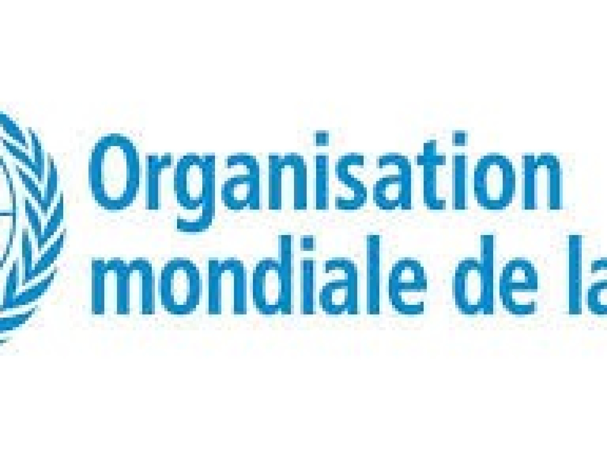 Mystérieuses épidémies en RD Congo, Santé : l'OMS enquête sur un possible empoisonnement