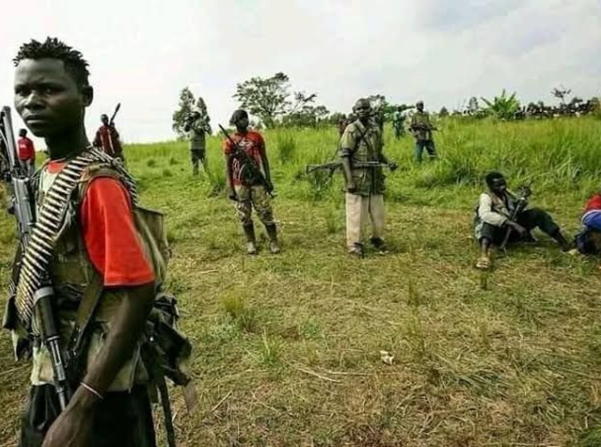 Kwango : la population dans une situation insupportable !