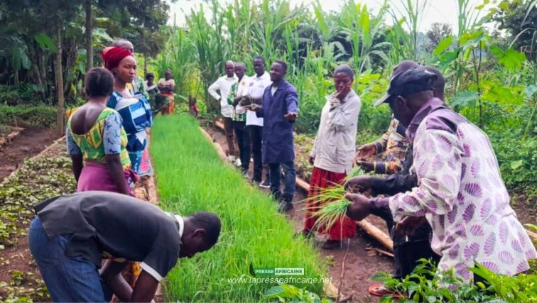 A Idjwi, l’agronome Heri Mulengezi distribue les plantules d’oignons aux habitants