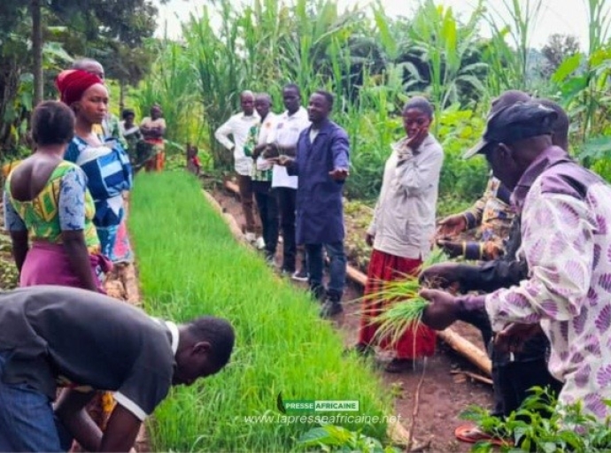 A Idjwi, l’agronome Heri Mulengezi distribue les plantules d’oignons aux habitants