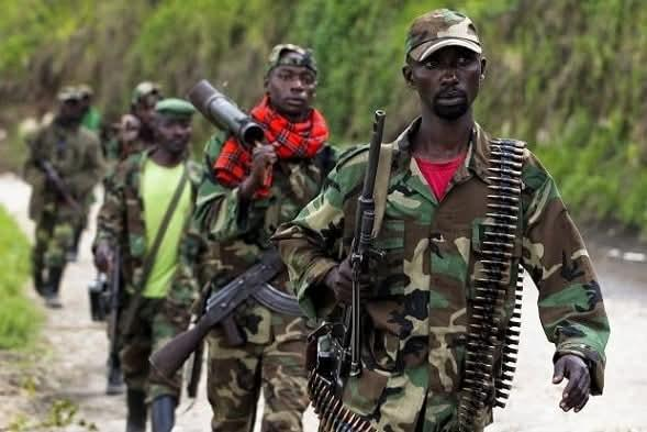 Le processus de désengagement des FDLR : L’armée rwandaise accusée d’entraver la reddition des rebelles vers la Monusco