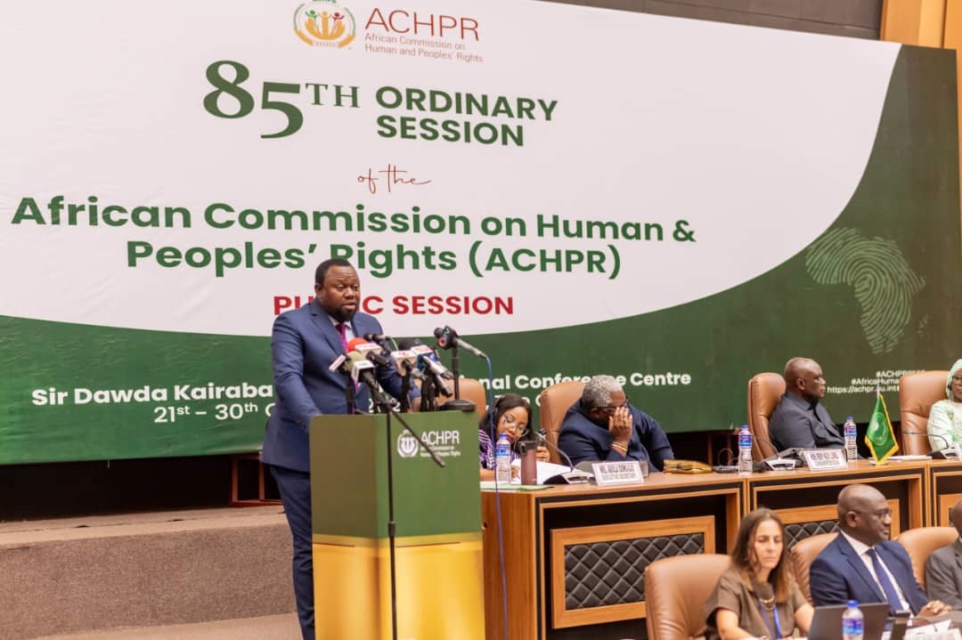 85ème session de la CADHP, Guerre dans l’Est : Samuel Mbemba plaide pour des mesures dissuasives contre le Rwanda