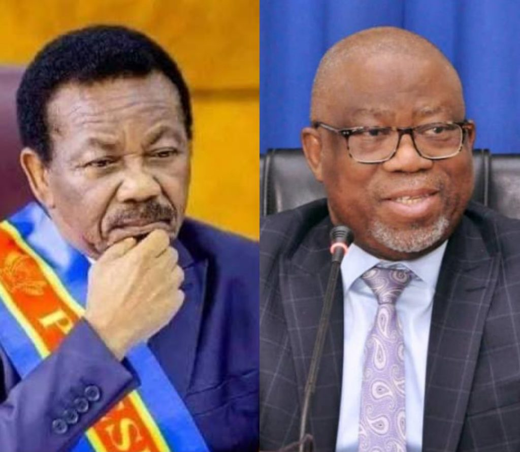 Succession de Kamerhe à l'Assemblée nationale, Boji-Mayo-Mboso : tous les coups sont permis !