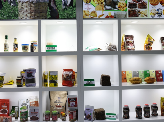 2026, année des échanges humains et culturels Chine-Afrique : le dialogue des cultures pour parer à l'arbitraire